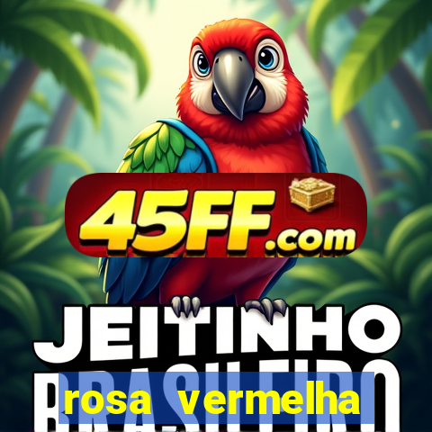 rosa vermelha (letra e cifra)